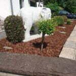 Doğal Ağaç Kabuğu 18 1