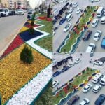 Doğal Ağaç Kabuğu 17 MARDiN RENKLi UYGULAMA