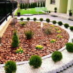 Doğal Ağaç Kabuğu 15 uygulama1