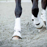 Plaj Kumu 6 manej kumu fiyatları