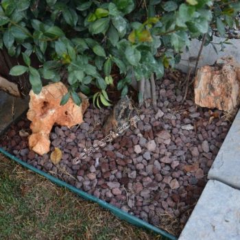 Volkanik Cüruf 2 Cüruf Taşı