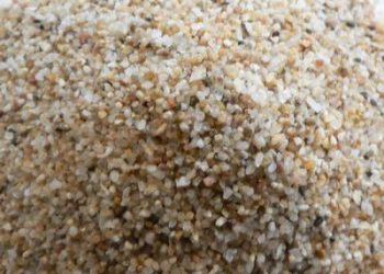 Silis Kumu Zonguldak 4 hali saha kumu