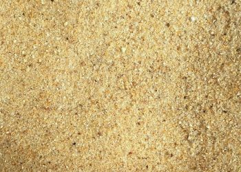 Silis Kumu Zonguldak 2 Silis Kumu