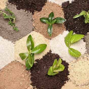 Toprak Çeşitleri